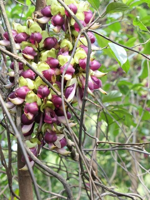 159287.jpg 159287.jpg