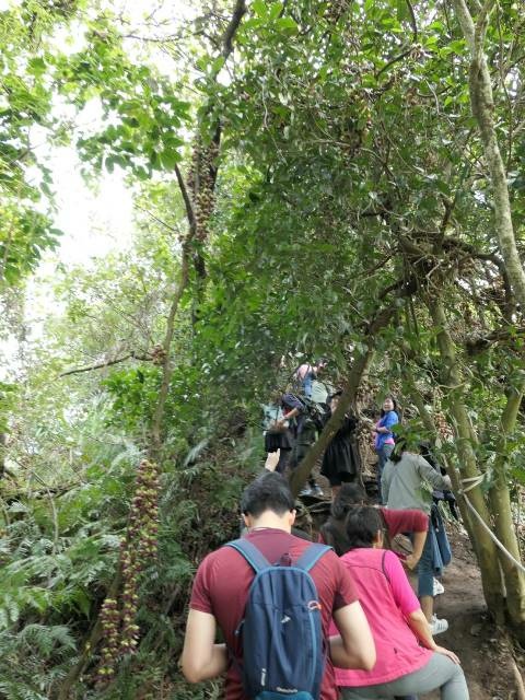 159290.jpg 159290.jpg