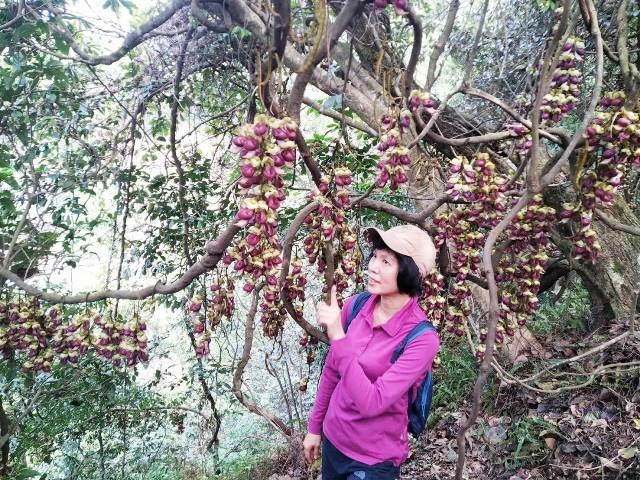 159291.jpg 159291.jpg