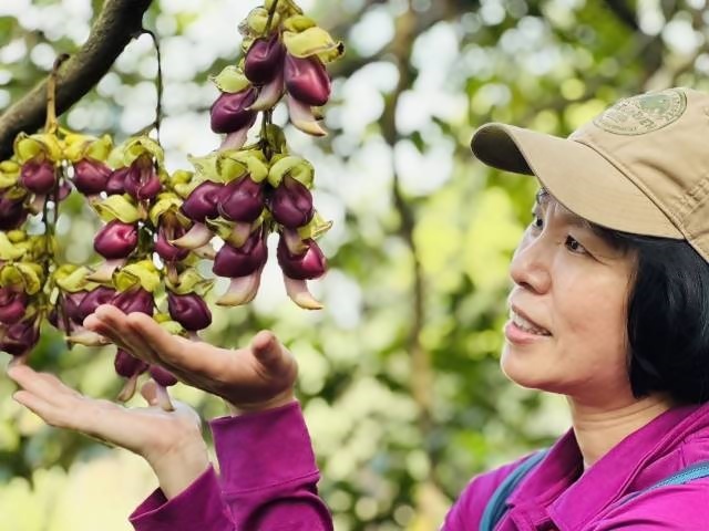 160786.jpg 160786.jpg