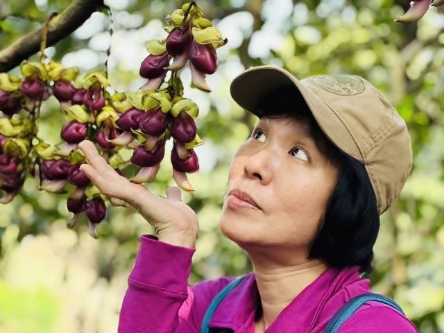 160781.jpg 160781.jpg