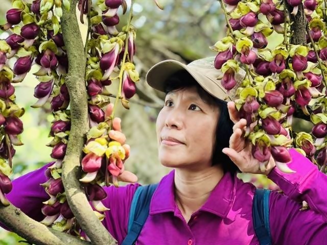 160787.jpg 160787.jpg