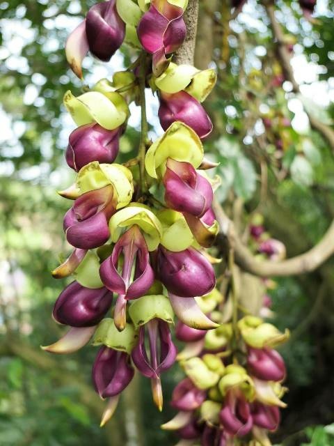 160796.jpg 160796.jpg