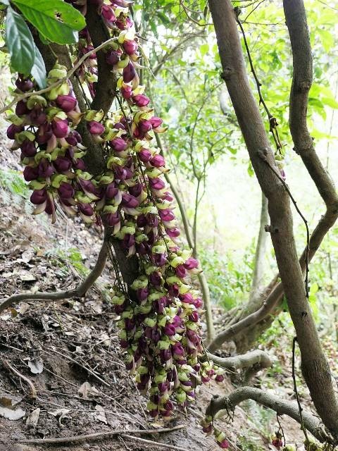 160797.jpg 160797.jpg