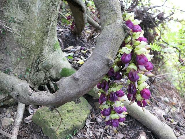 160800.jpg 160800.jpg