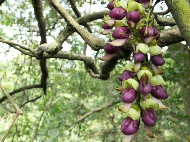 160802.jpg 160802.jpg