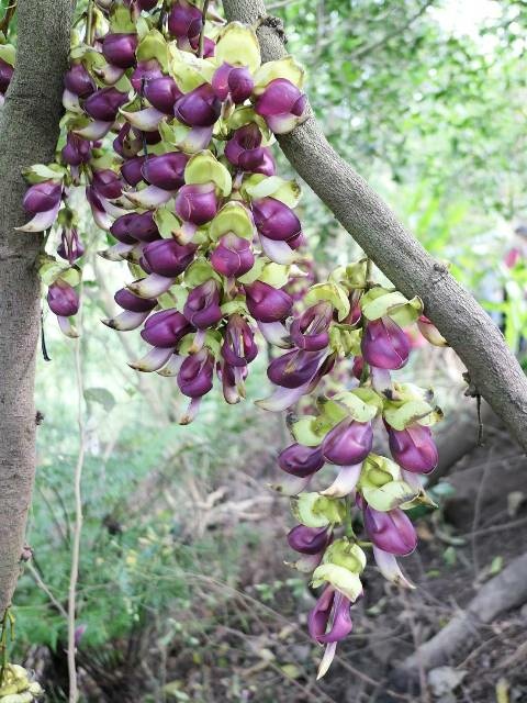 160804.jpg 160804.jpg