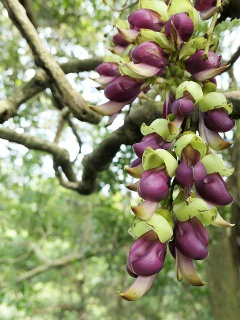 160803.jpg 160803.jpg