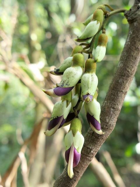 160806.jpg 160806.jpg