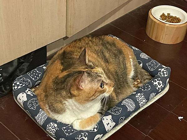 %E6%9C%AA%E5%91%BD%E5%90%8D