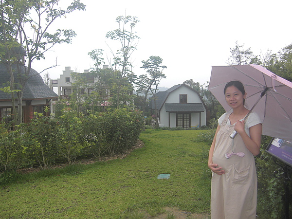 990602桃園-台中(心之芳庭40).JPG 990602桃園-台中(心之芳庭40).JPG