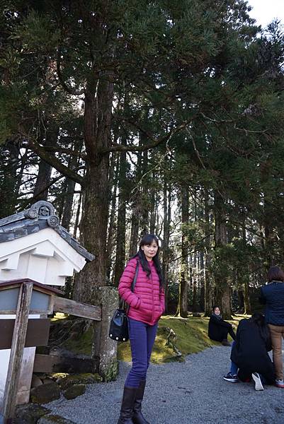 DSC02940 DSC02940
