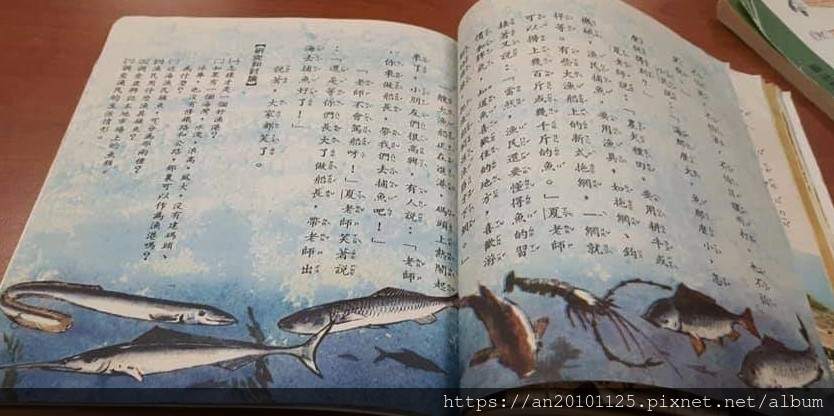 FB_IMG_1619703481989 (2).jpg FB_IMG_1619703481989 (2).jpg
