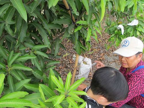 20130212-15高雄 (132)