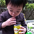 20120402 (21)