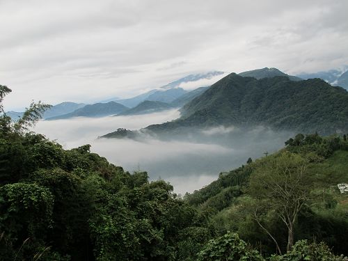 20111112-13蔡老大的家 (13)