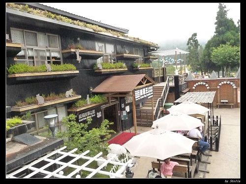 20110610清境農場 (545)