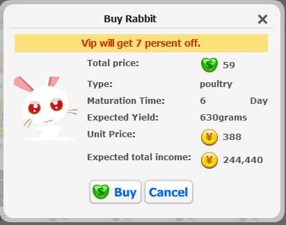 rabbit