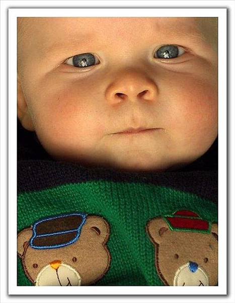 2004603-83626-7-embed-embed