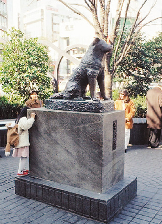 HACHIKO (6)