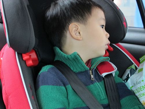 Euro-Harness 599汽座 (3)