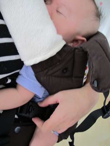 20131015昆蟲課 (64).jpg