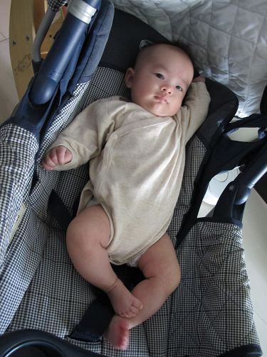 joovy推車 (60).jpg