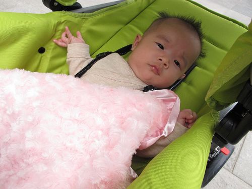 joovy推車 (101).jpg