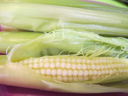 玉米筍 (9)