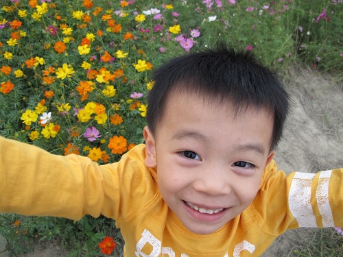 20131124花海 (22).jpg