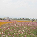 20131124花海 (35).jpg