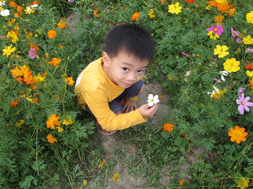20131124花海 (44).jpg
