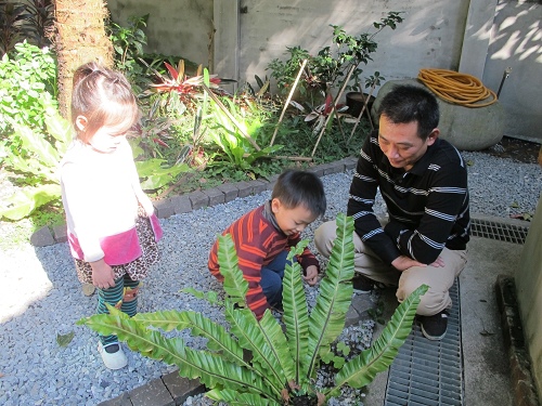 青田七六 (77).jpg