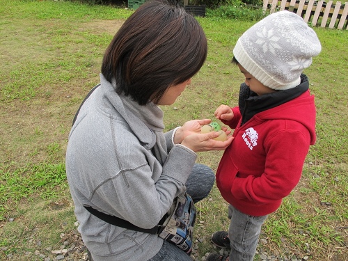 20140104採草莓 (5).jpg