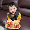 20140104採草莓 (201).jpg