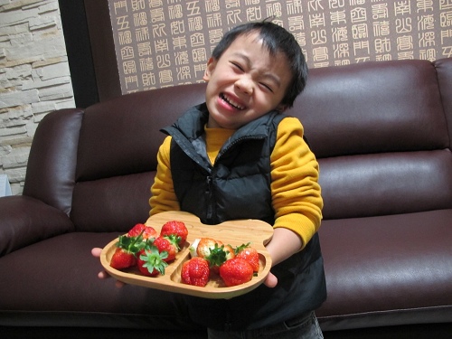 20140104採草莓 (208).jpg