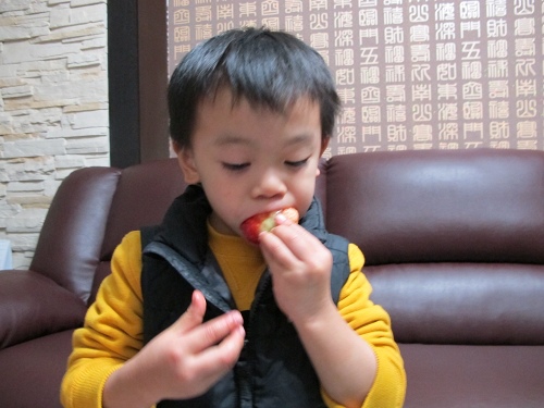 20140104採草莓 (216).jpg