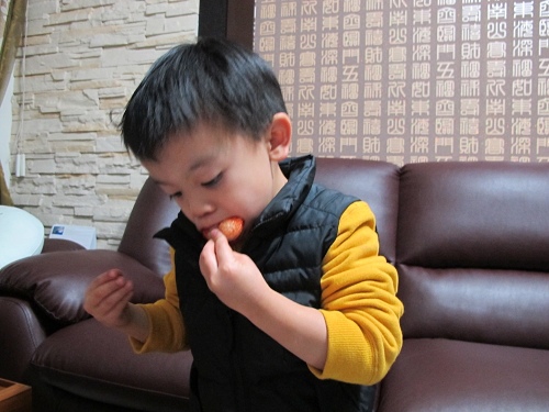 20140104採草莓 (217).jpg