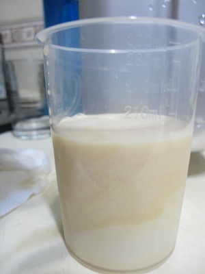 鮮奶養樂多吐司 (2).jpg