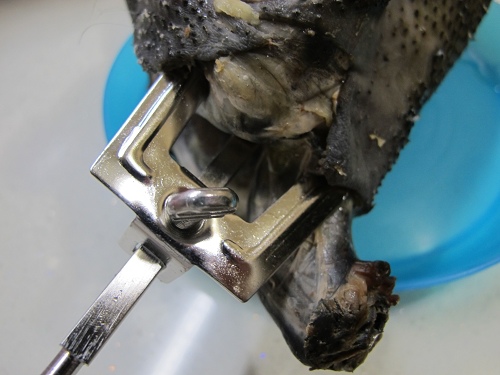 迪朗奇烤箱 (21)