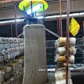 20140928豐年農場 (40).jpg