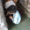 20140928豐年農場 (69).jpg