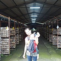 20140928豐年農場 (79).jpg