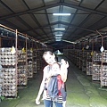20140928豐年農場 (80).jpg