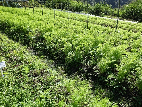 20141031頭城農場 (213).jpg