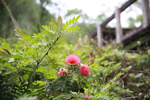 不遠山莊 (119).jpg