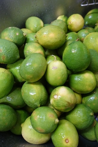 蜜漬檸檬 (25).jpg