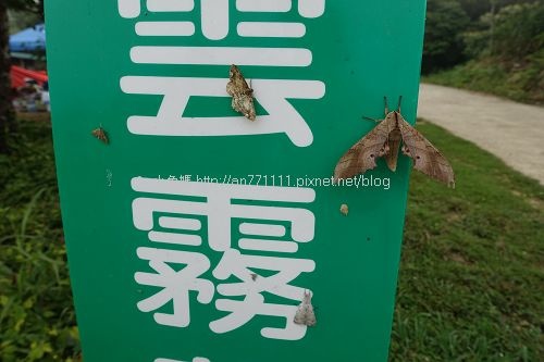 雲霧農場 (66).jpg