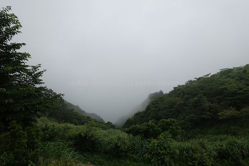 雲霧農場 (77).jpg