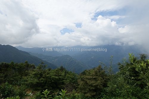 雲霧農場 (123).jpg